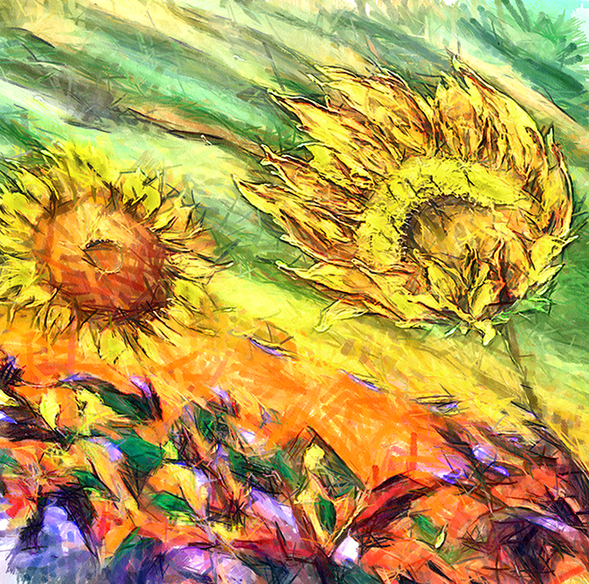 פרחים פרחים