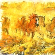 היופי המדברי והשקט, בא לביטוי בסוסים , לבית,למשרד,לסלון