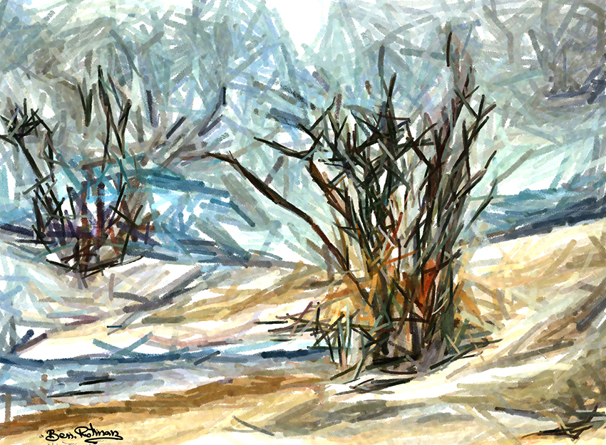 נוף וטבע נוף וטבע